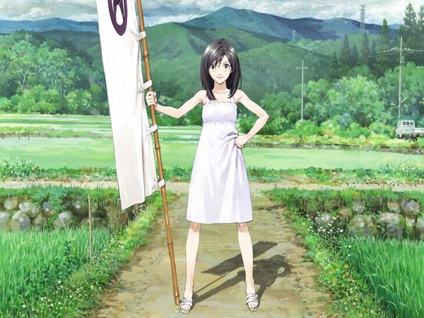 Artikel Bild - Summer Wars