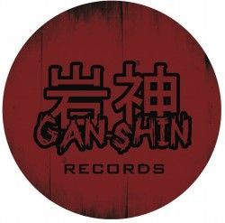 GAN-SHIN GmbH 